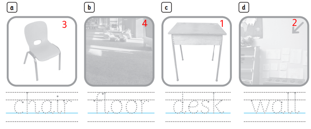 activity book Language practice